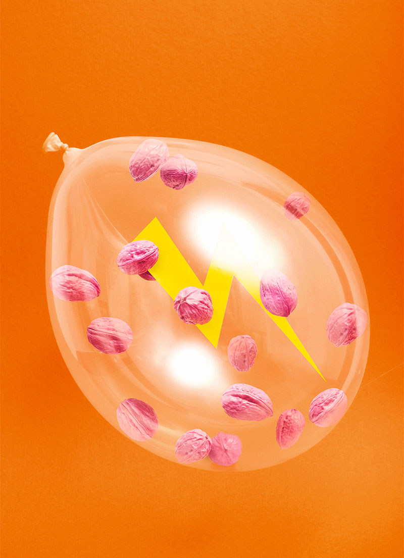 KITA BIRDS 04 03 eciRGBv2