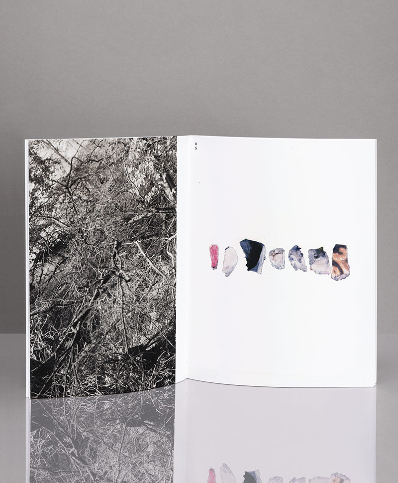 tritt pm18 19 jenny2 v5