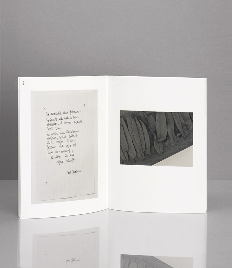 tritt pm18 19 magda3